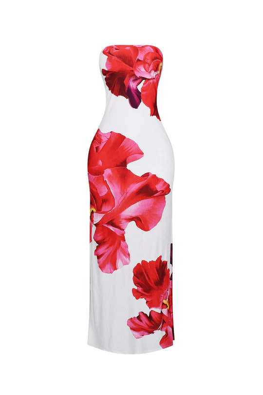 Floral Printed Tube Maxi Dress