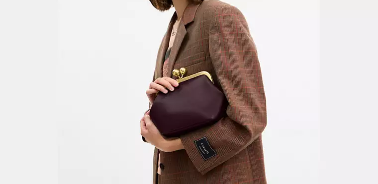 Small Kisslock Frame Bag