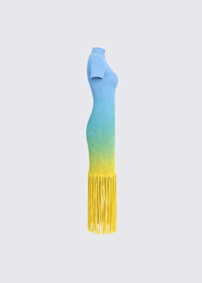 Ombré-effect stretch maxi skirt with fringe detail