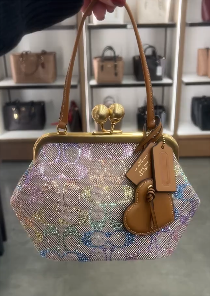 Small Kiss Lock Rainbow Crystal Eyeglass Frame Bag