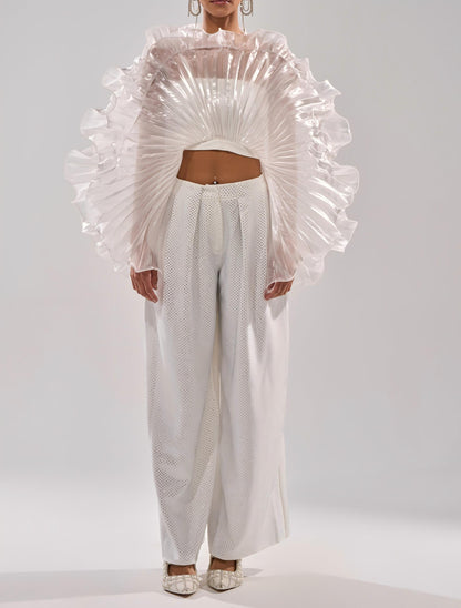 Fan-shaped three-dimensional pleated top