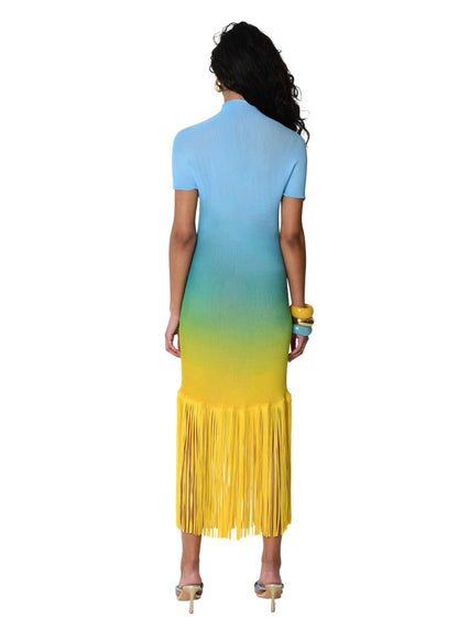 Ombré-effect stretch maxi skirt with fringe detail