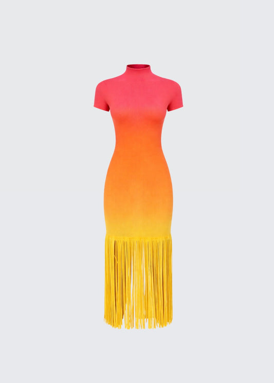 Ombré-effect stretch maxi skirt with fringe detail