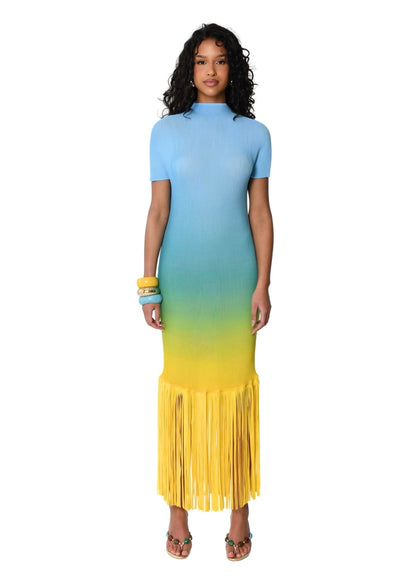 Ombré-effect stretch maxi skirt with fringe detail
